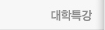 대학특강